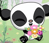 Zamilovaná panda