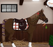 Vysnívaný kôň