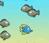 Hra - Fish Race Champions