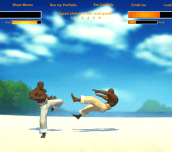 Hra - Capoeira Fighter