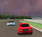 Hra - Speed Rally Pro