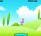 Hra - Jumping Bunny