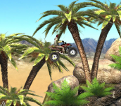 Hra - Desert Rider