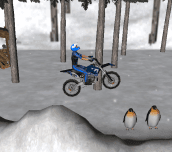 Hra - Snow Bike