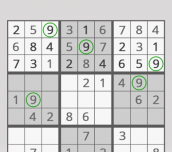 Hra - Sudoku na každý den